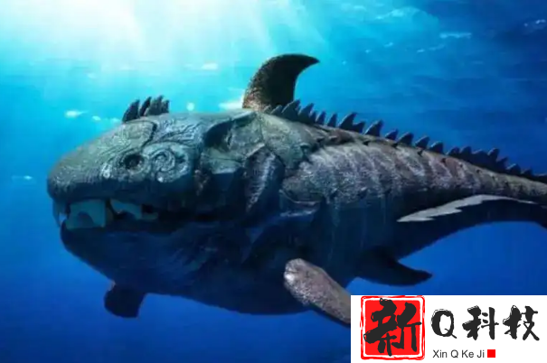 十大海洋霸主史前排名：奇虾垫底，巨齿鲨排第一名