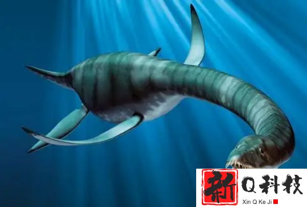 十大海洋霸主史前排名：奇虾垫底，巨齿鲨排第一名