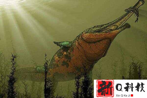 史上体型最大的两栖动物：锯齿螈长9米/重3吨，堪称河中巨怪