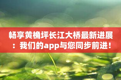 畅享黄桷坪长江大桥最新进展：我们的app与您同步前进！
